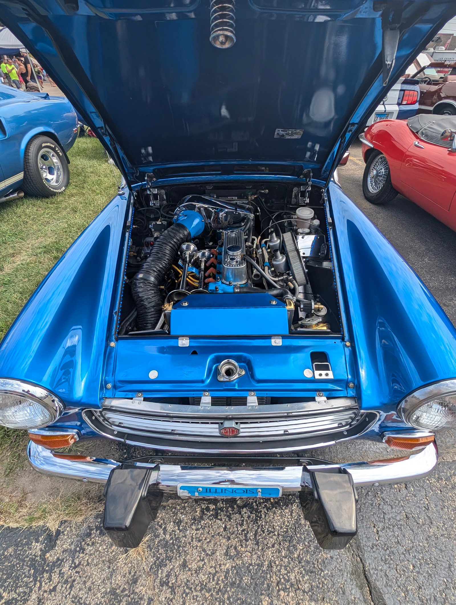 PXL_20240825_163119379.jpg PXL_20240825_163119379.jpg